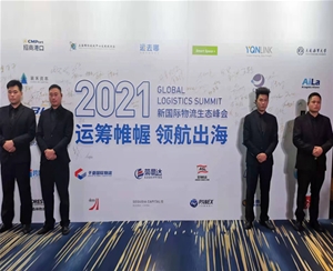 臨?；顒?dòng) (4)